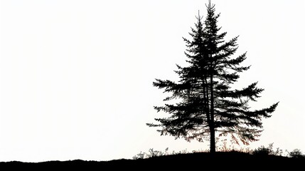 Simple print of a pine tree silhouette
