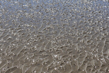 서해바다에서 볼수있는 갯벌의 풍경