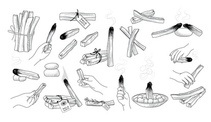 Palo santo. Aromatherapy natural wooden stick recent vector handdrawn illustrations