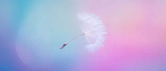 A delicate dandelion puff floats against a soft, colorful background, creating a serene and dreamy atmosphere.