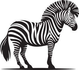  Zebra black white stripes silhouette vector art illustration.
