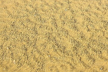 해변가를 걷다가 모래밭에 고인 바닷물