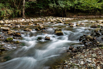 Fresh river water flows through rocks in the forest