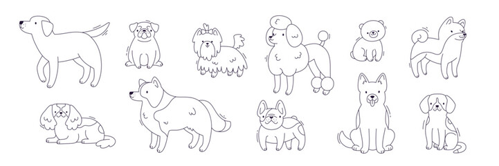 Obraz premium Outline dog breeds set. Sketch vector purebred dogs collection. Line puppies icon bundle.