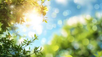 Obraz premium Spiring nature with blurred background with blue sky