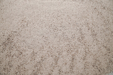 Aromatic heap of Damar Mata Kucing (Shorea Javanica) resin gum fine dust, also known as Dammar gum, isolated on a clean white background.