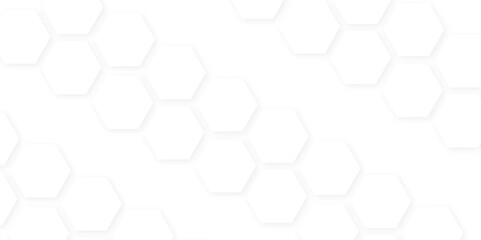 Abstract white hexagon concept background. Seamless pattern with hexagon. Hexagonal white hexagons honeycomb wallpaper. Abstract white lines background