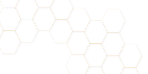 Abstract white hexagon concept background. Seamless pattern with hexagon. Hexagonal white hexagons honeycomb wallpaper. Abstract white lines background