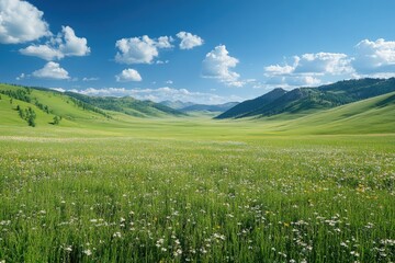 Fototapeta premium Green grass and wildflowers growing in a mountain valley