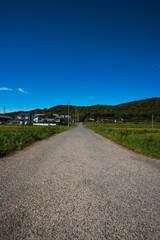 田舎のあぜ道
