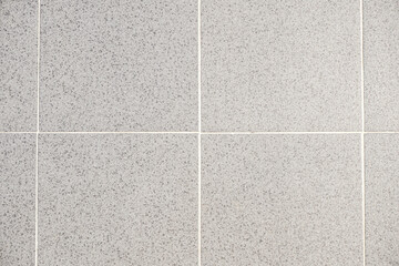 close-up image showcasing a section of a tiled wall or floor. The tiles are large, square, and...