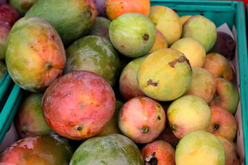 Mango, Früchte, gestapelte Mangos
