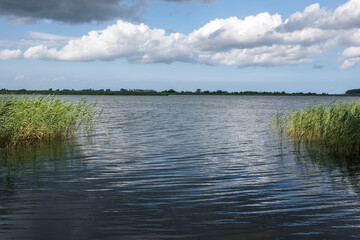 Flusslandschaft mit Schilfbewuchs und bewölktem Himmel am Horizont