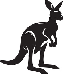 kangaroo illustration