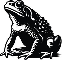 hand drawn frog illustration of vector 