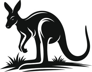 kangaroo vector illustration