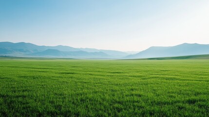 Fototapeta premium Serene, green field bordered by distant mountains, providing ample space for copy