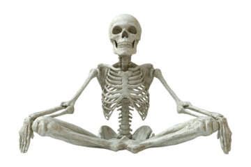 A skeleton in a meditative pose, isolated against a white background. transparent background