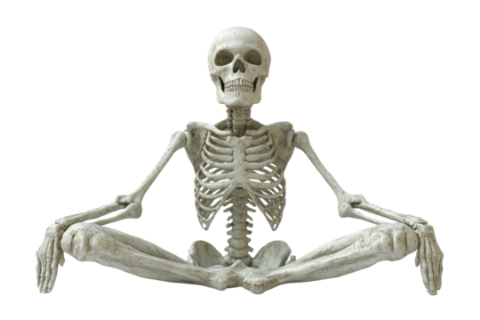 A skeleton in a meditative pose, isolated against a white background. transparent background