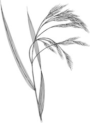 Hand drawn Floral Designs
