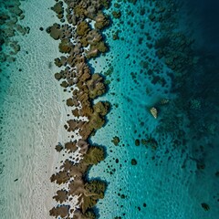 Drone shot capturing the vibrant colors of a coral reef just beneath the surface of calm turquoise waters, with a small island in the center framed by white sandy shores 