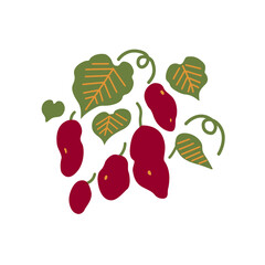 さつまいものイラスト