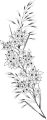 Hand drawn floral arrangements