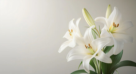 Naklejka premium ユリの花