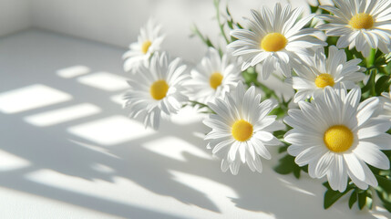 Obraz premium daisies in a vase, Sunlit Daisies Arranged Symmetrically on White Background