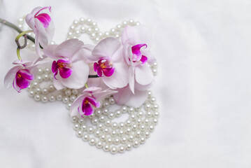 The branch of purple orchids on white fabric background
