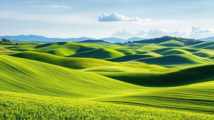 Obraz premium Verdant Hills and Patchwork Fields Beneath a Vibrant Summer Sky, showcasing idyllic rural landscapes, lush greenery, and the tranquility of nature's bounty.