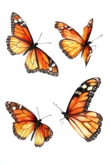 Golden Butterflies Four beautifully illustrated monarch butterflies on a white background.