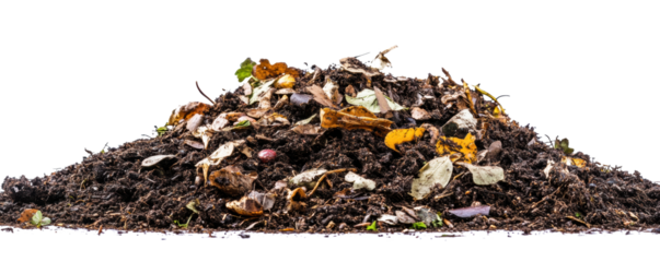 Organic compost heap with leaves, twigs, and brown soil on a white isolate background transparent background.
