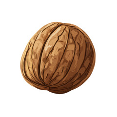 Obraz premium Whole walnut with detailed texture, white isolated background transparent background.