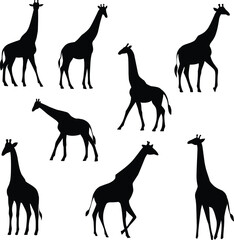 Giraffe Silhouette