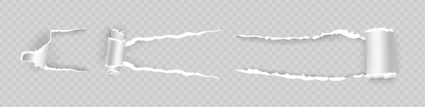 Torn page piece with rip edges and holes. Vector isolated set of scratch claws, curls of blank sheet. Typography or graphics design, grunge and old vintage message. Realistic texture or borders