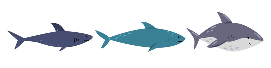Sharks collection, isolated marine fish with multiple rows of sharp teeth. Vector carnivorous underwater animals with cartilage skeleton. Water dweller or apex predator creature with streamlined body