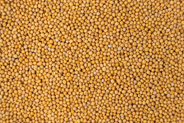 Yellow Dry Mustard Seed Background, Natural Organic Seasoning, Top View.