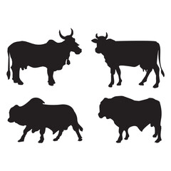 Cow silhouette on white background.