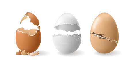 Cracked shells of chicken eggs of different colors. Vector isolated hatching or cooking, breaking eggshell of nutritious product. Realistic ingredient with copy space, uncooked or boiled