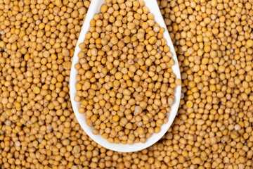 Mustard seeds in a spoon, natural organic seasoning