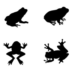 frog silhouette