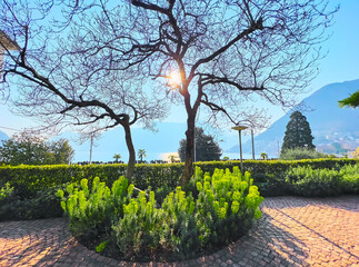 The garden bed with spurge, Parco Villa Malpensata, Lugano, Switzerland