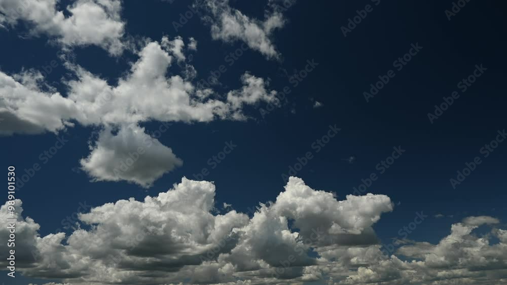 Wall mural time lapse of white to grey cumulus clouds moving towards the viewer in a dark blue sky. only the sk