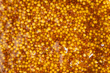 French Dijon mustard background, close-up, top view.