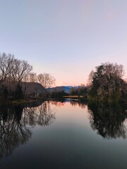 Obraz premium reflection of trees on the lake