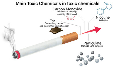 Toxic Chemicals in Cigarette Smoke Medical Illustration, Lung Cancer Causing Agents Visualization