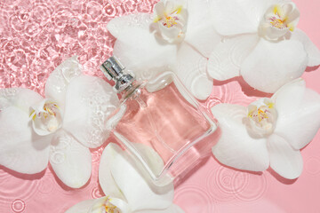 Beautiful orchid flowers and bottle of perfume in water on pink background, flat lay