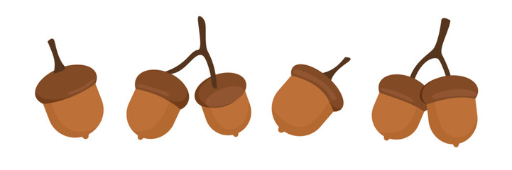Set of acorn vector art. Acorn clip art. Brown acorn. Nuts. Squirrel food. Autumn plant. Chestnut illustration. © Hayclaw Here
