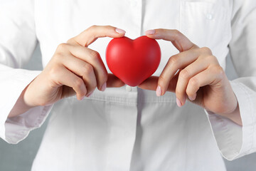 Doctor holding red heart on grey background, closeup